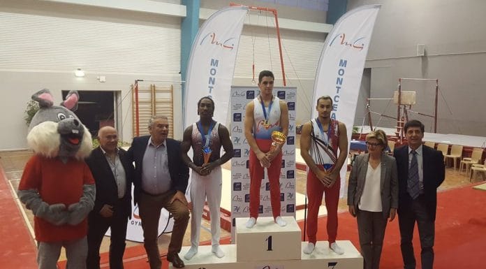 Revue d’effectifs (GAM) : Tous les résultats