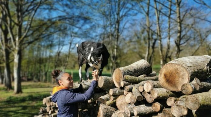 Histoire de confinement : ambiance campagne pour Célia Serber