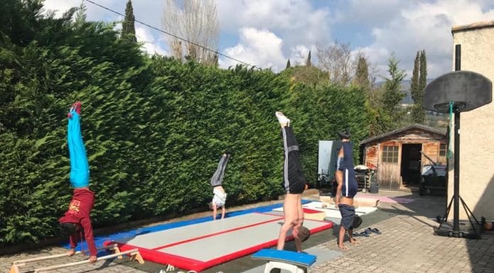 Histoire de confinement : crescendo attitude pour les polistes d’Antibes