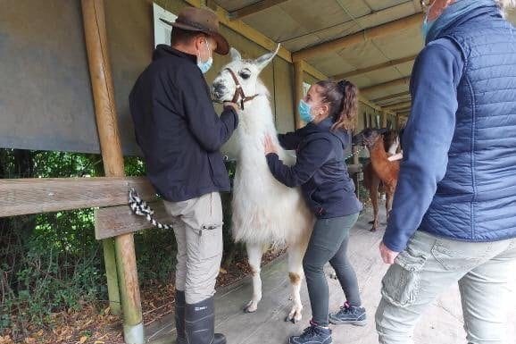 Alison Lepin : « Je vais très bien »