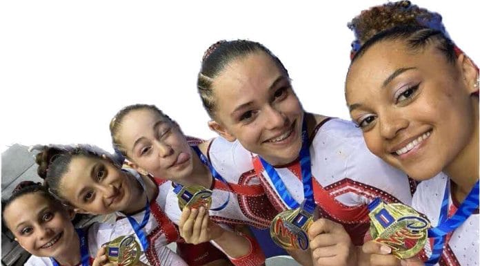 L’Alliance Dijon Gym 21 renonce au Top 12