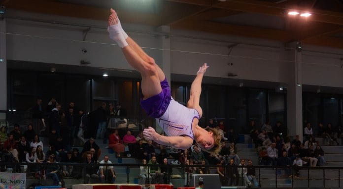 Championnats de France élite (Agen 2025) : la liste des qualifiés en GAM