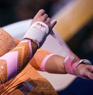 GAF : Les seniors et juniors seront en stage de reprise à La Rochelle