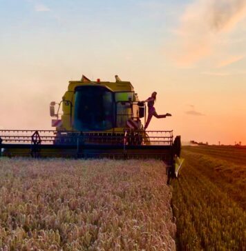 Marine Debauve, du podium à la ferme : l’itinéraire singulier d’une ancienne championne de gymnastique