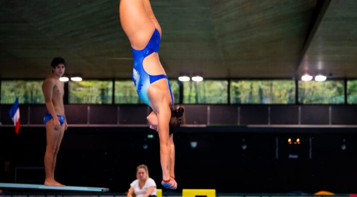 De la gymnastique au plongeon, une passerelle vers le haut niveau